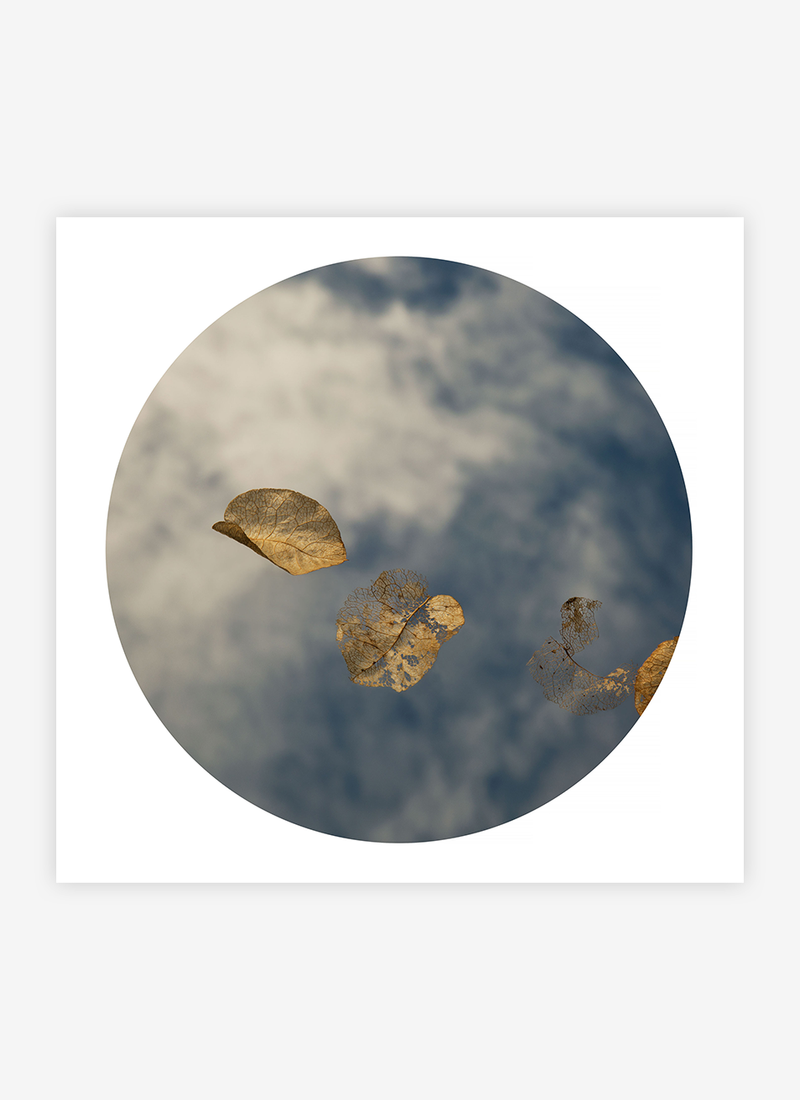 Transience I