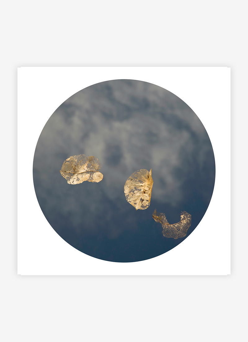 Transience III
