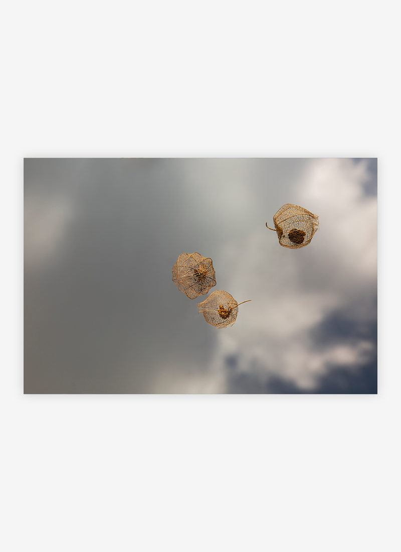 Chasing Light II