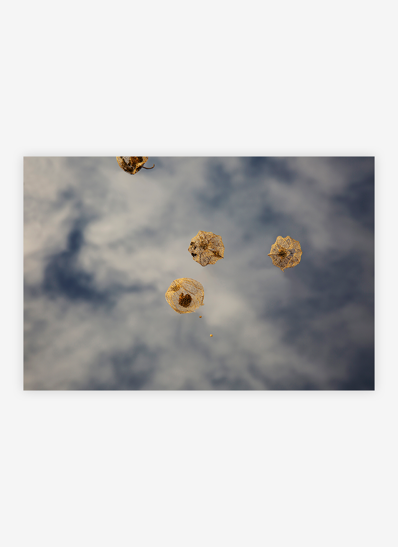 Chasing Light I